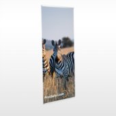 L Banner Stands