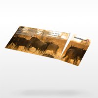 Rip Cards 3.5" x 11" Rip BC + Door Hanger 16 pt. Premium MatteFull Color Both Sides