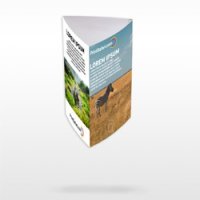Table Tents 4.25" x 12" Pre-Scored to Fold to 4.25" x 6" 100 lb. Gloss Cover Full Color Front (Outside), No Back (Inside) 100
