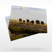 Placemats