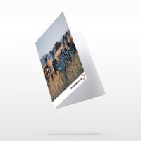 Folded Business Cards 3.5" x 4" Pre-Scored to Fold to 2" x 3.5" 13 pt. Premium LinenFull Color Both Sides (Outside and Inside)