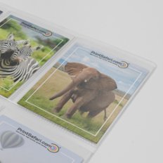 Custom Trading Cards