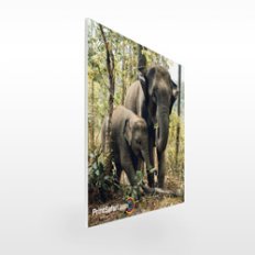 6" x 30" Plastic Signs