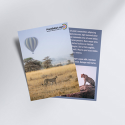 2.75" x 4.25" Club Flyers