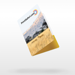 Card Holders with Pocket