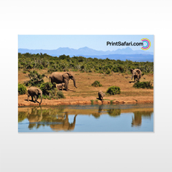 Custom canvas prints for high-quality wall art with vibrant designs