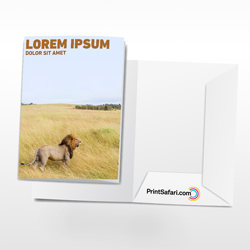 Presentation Folders