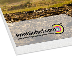 12" x 24" Plastic Signs