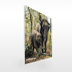 18" x 36" Plastic Signs