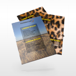 Mini Menus 4" x 10" 100 lb. Gloss BookFull Color Both Sides