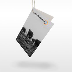 Folded Hang Tags Folded Hang Tags