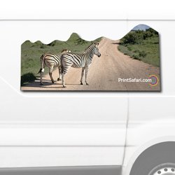 Product image of Car Magnets