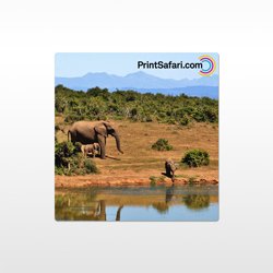 Durable metal prints for modern photo displays with vibrant colors