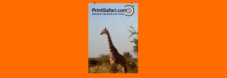 A poster in front of a orange background.