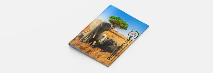 A Saddle Stitched Booklet cover showing an elephant in the savannah.
