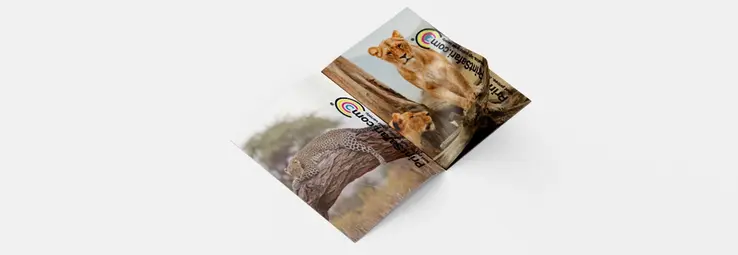 An opened booklet showing a leopard and a lioness.