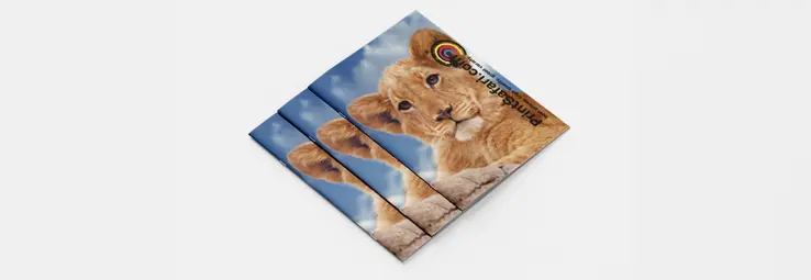 Three booklets closed on top of each other showing a baby lion on their covers.