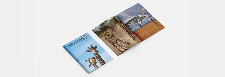 Two booklets next to each other. The first has 2 giraffes on its cover. The second is opened and reveals an image of a leopard and another image of a tree.