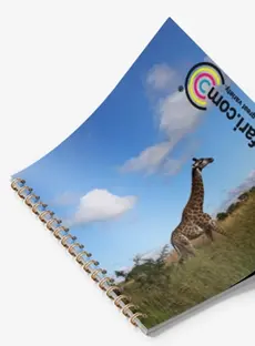 A colorful booklet on a gray background.