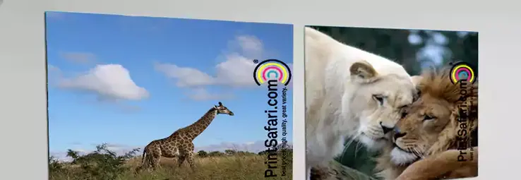 Two posters on a gray surface.