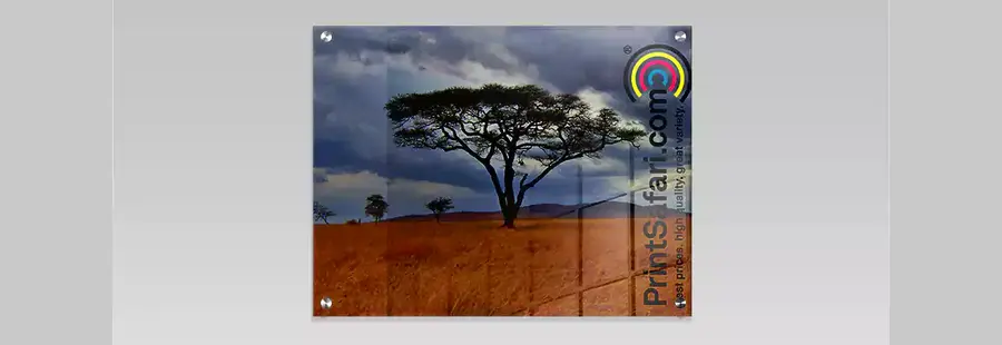 An acrylic photo print of a tree in the savannah.