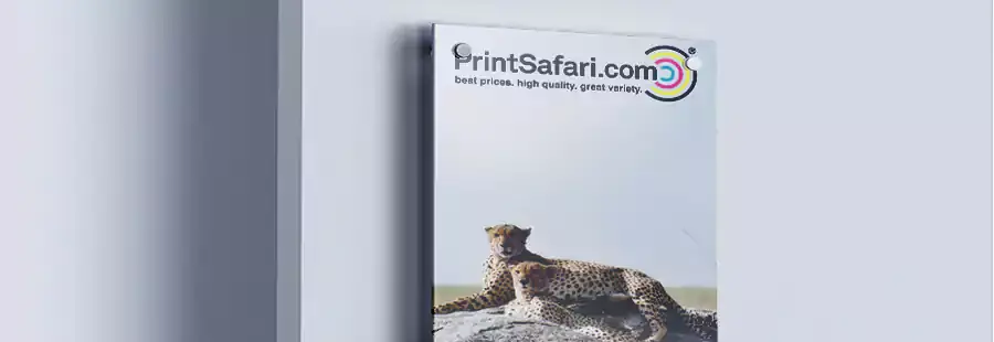An acrylic photo print of a leopard laying on a rock.