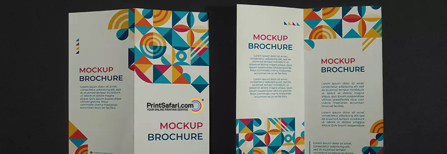 Two colorful brochures laying next to each other on a dark surface.