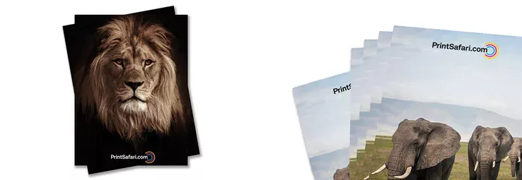 Two posters laying on top of each other showing a lions face and another stack of posters showing elephants.