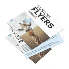 Product image of Flyers