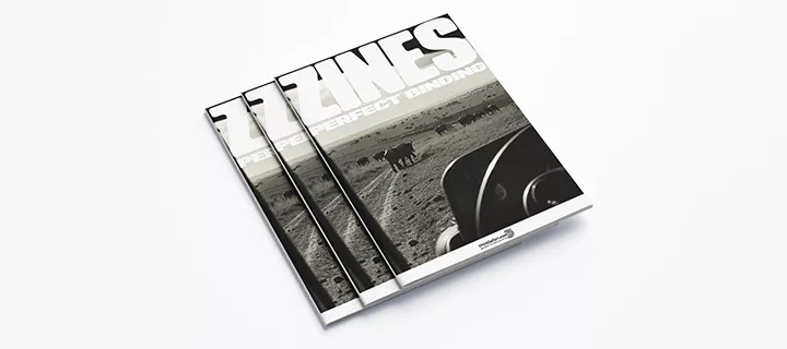 Image of three zines lying on a table. The cover is black and white, featuring buffalos in a safari setting.