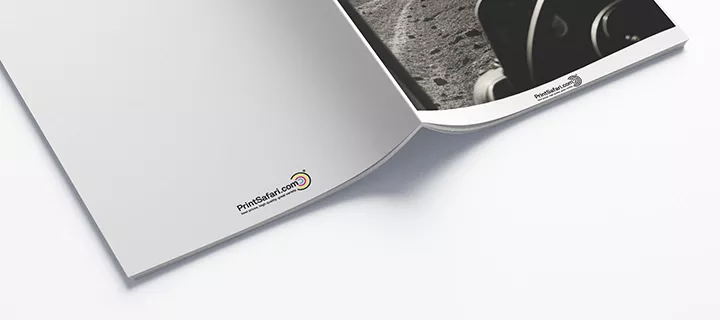 Zines lying open on a desk, with the cover facing up and pages spread out. The cover has a black-and-white safari image, and the back cover is white.