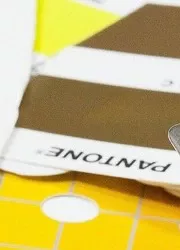 Close-up of a Pantone proof sheet displaying a range of vibrant colors, highlighting the precise color matching and calibration for printing.