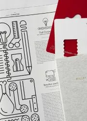Business flyer with line art and red elements