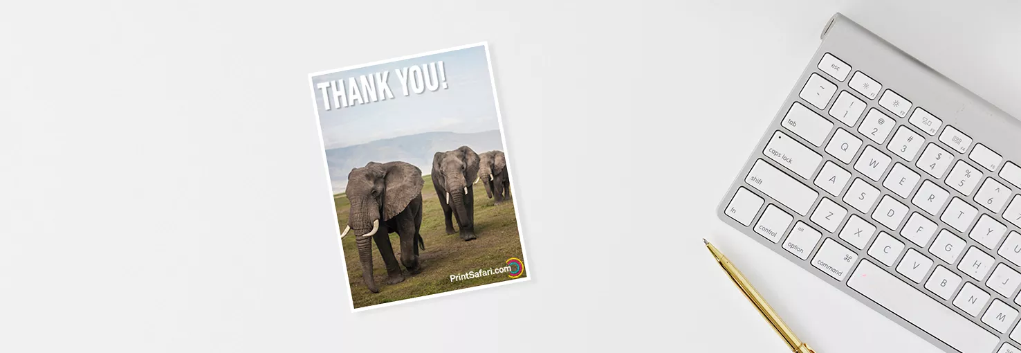 Open saddle-stitched catalog with a two-page article, showing pictures of various animals like elephants and giraffes, with the saddle stitch binding visible in the center of both pages.