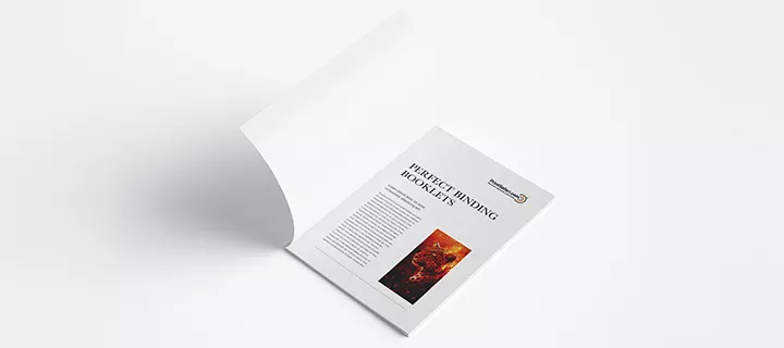 Three perfect binding booklets featuring a zebra design on the cover, showcasing a sleek and professional appearance.