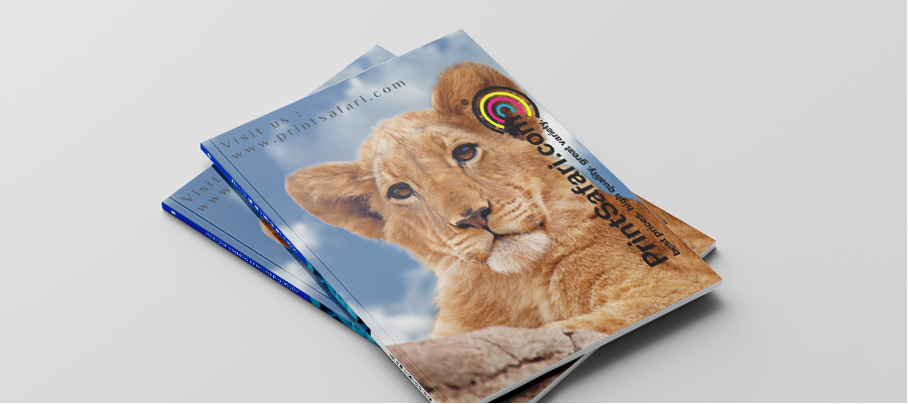 Open catalog displaying two pages, with a giraffe on the left and cuddling lions on the right.
