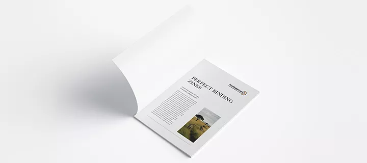 Open zine on the first page, showing a white inside cover and an introduction by the author on the first page.