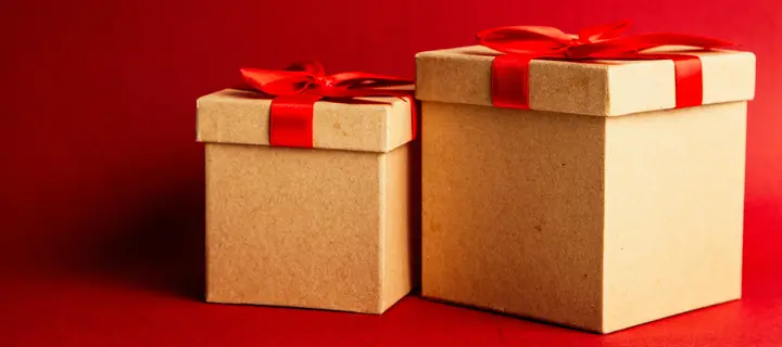 Two cardboard boxes with red ribbons tied around them
