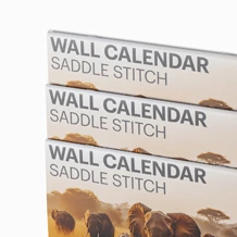 Close-up of a brochure cover with lion and giraffe images, titled 