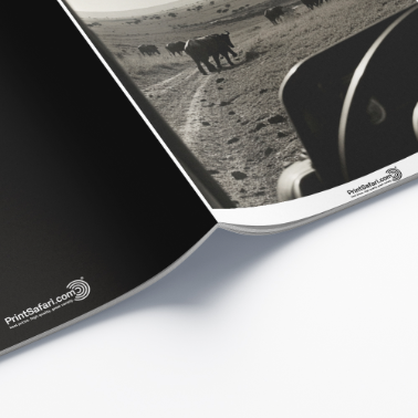 Stack of zines with a black-and-white cover photo of elephants walking in the wild, labeled 