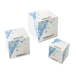 Boxes