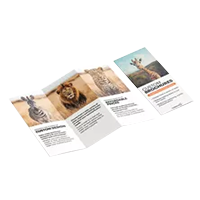 Brochures