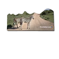 Custom car magnets for mobile advertising and promotions