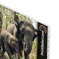 Lightweight and weather-resistant corrugated plastic signs for events and advertising