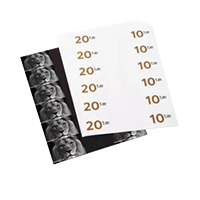 Coupon Flyers