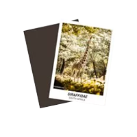 Custom Trading Cards