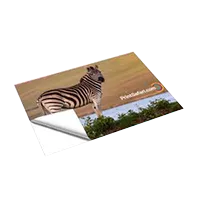 Custom floor decals for store promotions, events, and directional signage