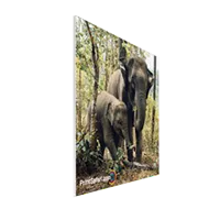 Versatile plastic signs for indoor and outdoor use with customizable designs