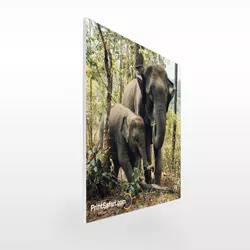 Sturdy rigid foam boards for professional-quality signage and displays