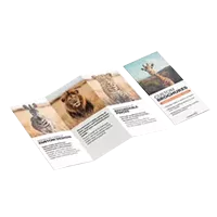 Brochures